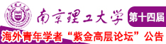 摸舔插捅南京理工大学第十四届海外青年学者紫金论坛诚邀海内外英才！